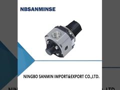 سلسلة ARJ310 صمام خفض الضغط المصغر