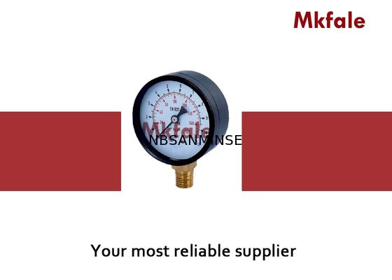 SMTB الفولاذ المقاوم للصدأ قياس الضغط السائل الأسود الصلب حالة G / NPT / موضوع آخر